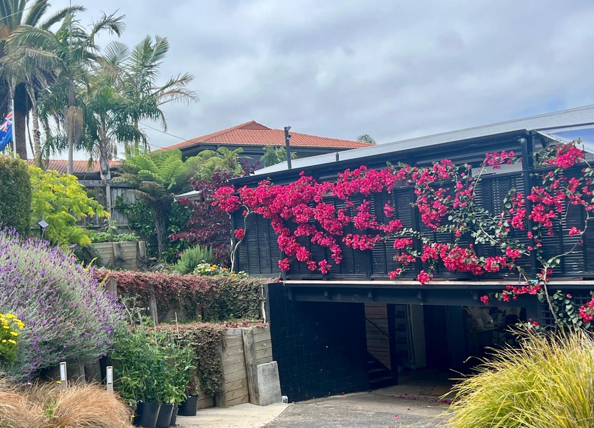 Brophys Beach Studio Whitianga Εξωτερικό φωτογραφία