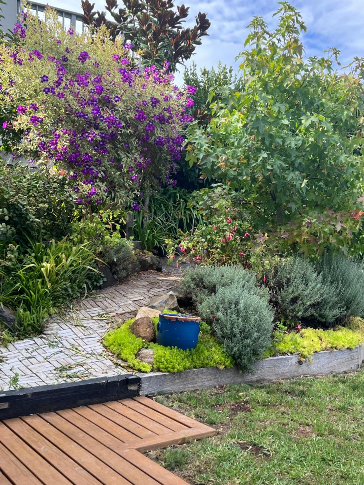 Brophys Beach Studio Whitianga Εξωτερικό φωτογραφία